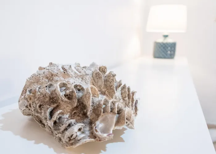 Lejlighed Apartamento Del Pescador De Cádiz